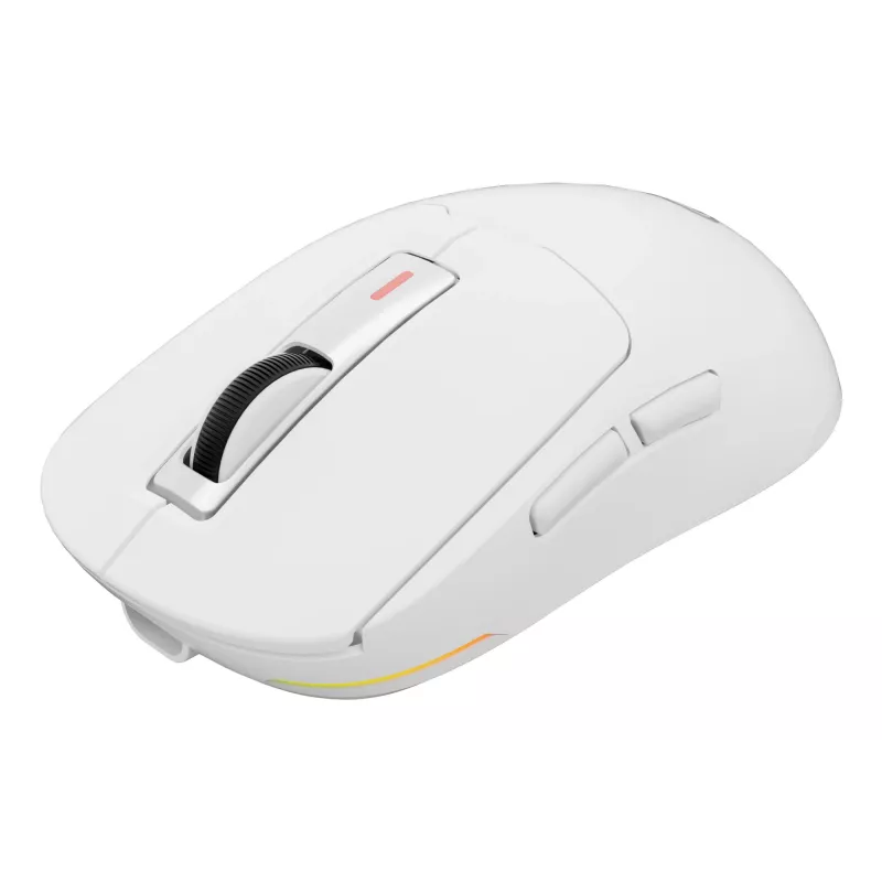 GENESIS NMG-2194 pelė Žaidimų Ambidextrinė Bluetooth + USB Type-C Optinė 26000 DPI
