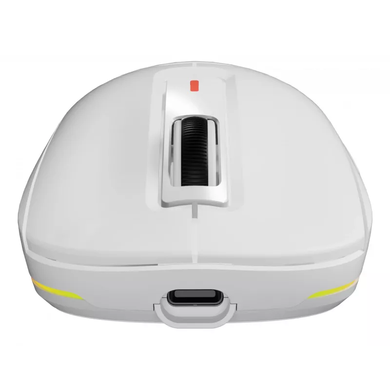GENESIS NMG-2194 pelė Žaidimų Ambidextrinė Bluetooth + USB Type-C Optinė 26000 DPI