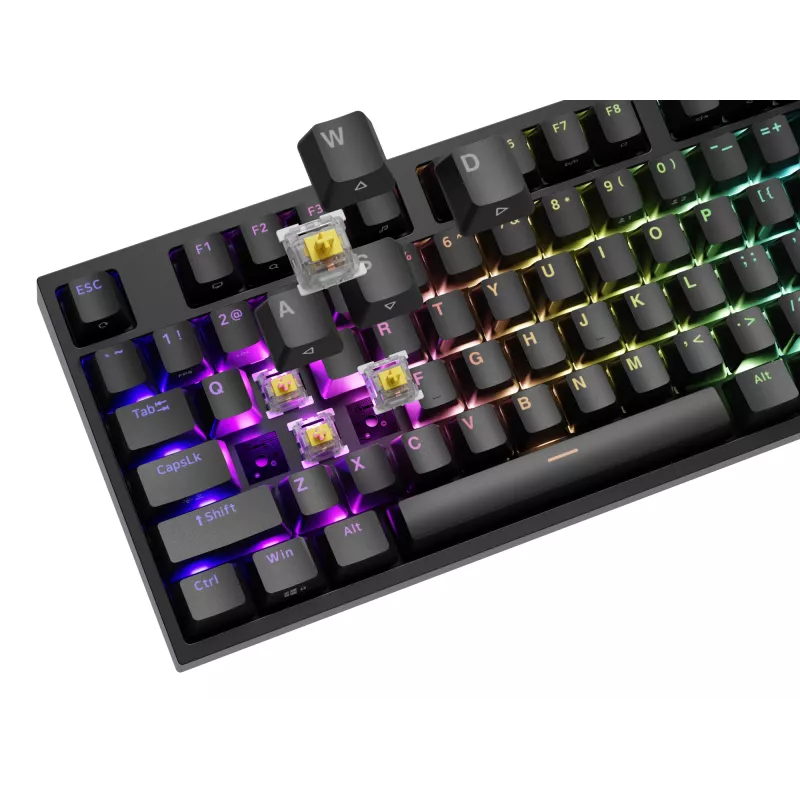 GENESIS THOR 404 klaviatūra, USB, mechaninė, QWERTY, RGB, juoda