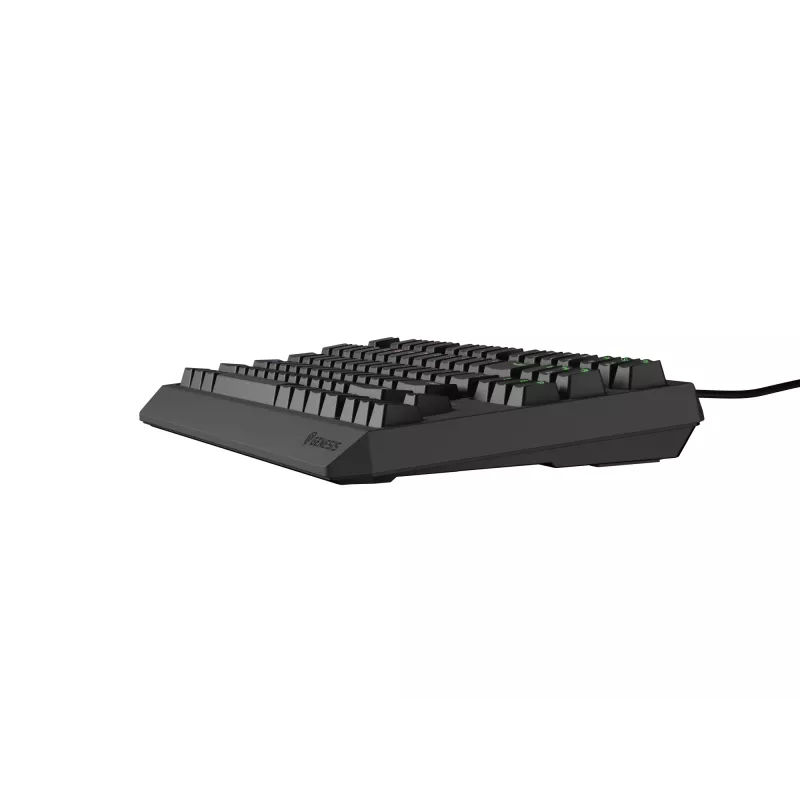 Genesis Thor 230 TKL laidinė mechaninė žaidimų klaviatūra, US, juoda, Outemu Red