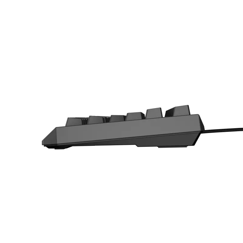 Genesis Thor 230 TKL laidinė mechaninė žaidimų klaviatūra, US, juoda, Outemu Red