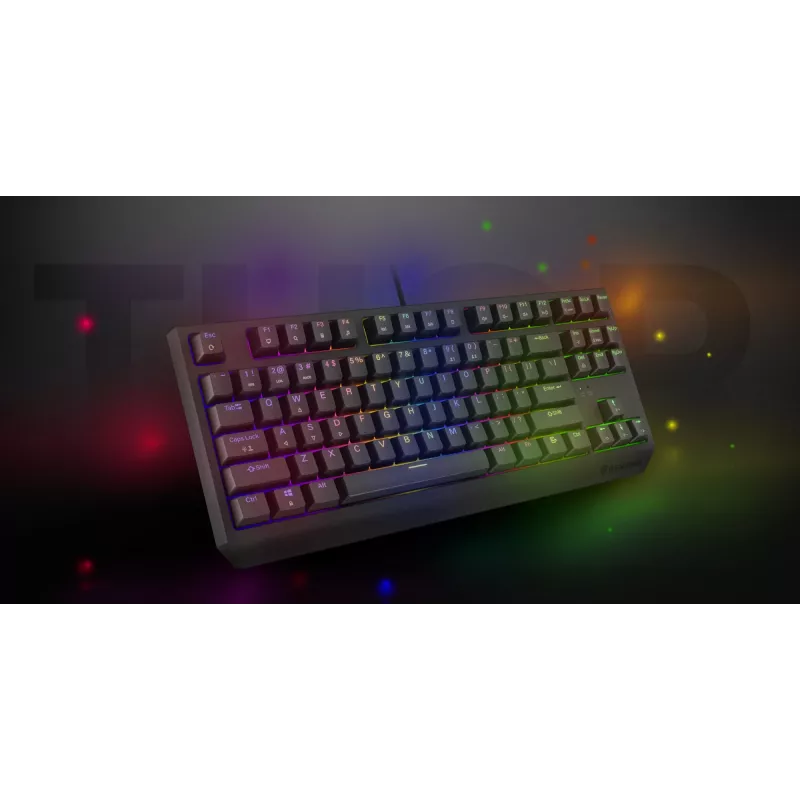 Genesis Thor 230 TKL laidinė mechaninė žaidimų klaviatūra, US, juoda, Outemu Red