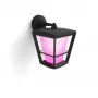Prožektorius Philips Hue White and colour ambience Econic lauko sieninis šviestuvas