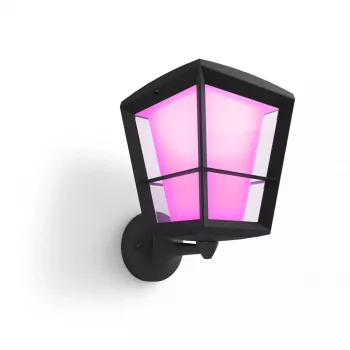 Philips Hue White and colour ambience Econic lauko sieninis šviestuvas