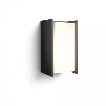 Išmanusis sieninis šviestuvas Philips Hue White Turaco Outdoor