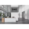 Neomounts WL35-750BL18 sunkusis TV sieninis laikiklis 125 kg 43-98 col. VESA 100x100-800x600