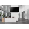 Neomounts WL35-750BL18 sunkusis TV sieninis laikiklis 125 kg 43-98 col. VESA 100x100-800x600