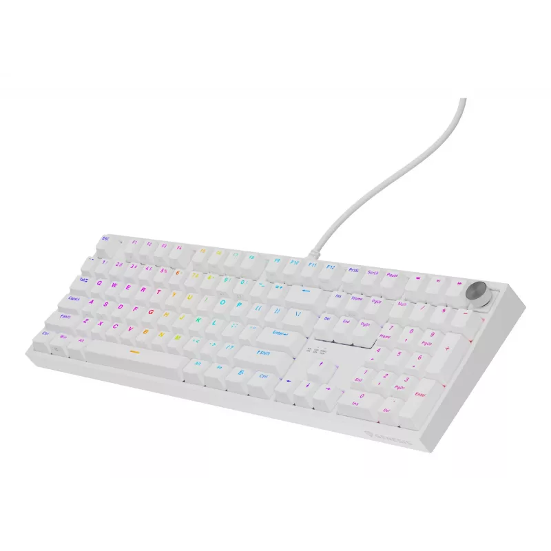 Mechaninė klaviatūra GENESIS THOR 404, pilno dydžio USB, QWERTY anglų, RGB apšvietimas, balta