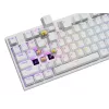Mechaninė klaviatūra GENESIS THOR 404, pilno dydžio USB, QWERTY anglų, RGB apšvietimas, balta