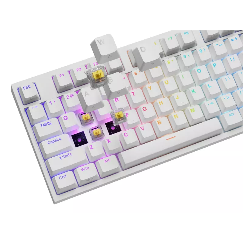 Mechaninė klaviatūra GENESIS THOR 404, pilno dydžio USB, QWERTY anglų, RGB apšvietimas, balta