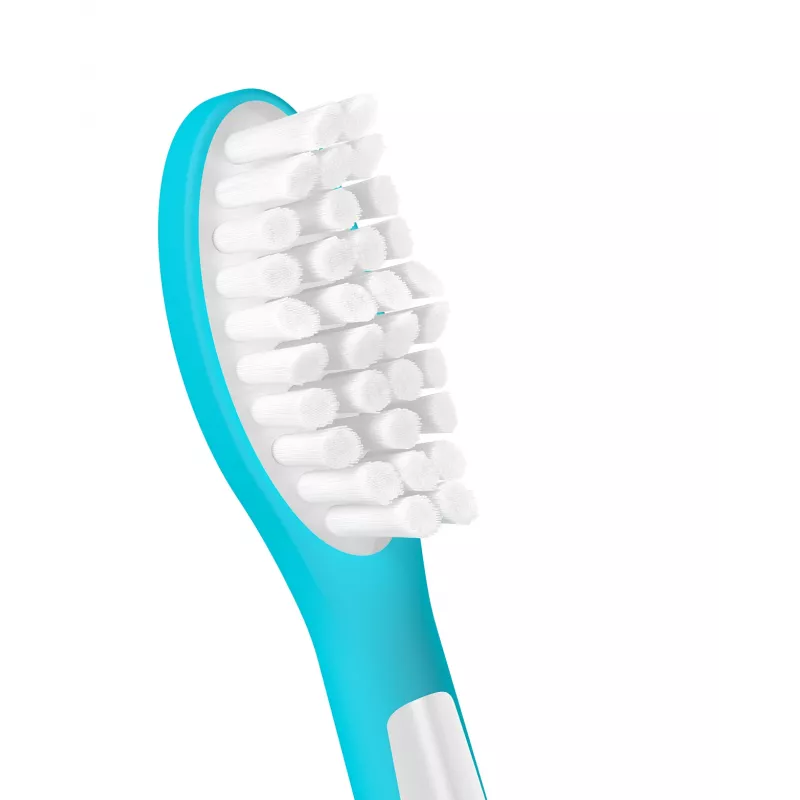 Philips Sonicare for Kids HX6042/90 2 vnt. šepetėlių galvutės Mėlyna Balta