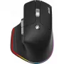 ACER vertikali ergonominė belaidė optinė pelė