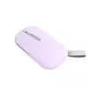 ASUS Marshmallow MD100 pelė biurui Ambidextrinė RF Wireless + Bluetooth Optinė 1600 DPI