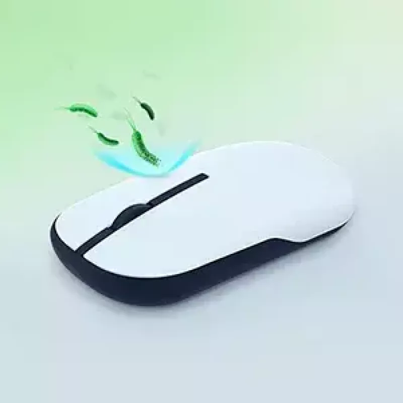 ASUS Marshmallow MD100 pelė biurui Ambidextrinė RF Wireless + Bluetooth Optinė 1600 DPI