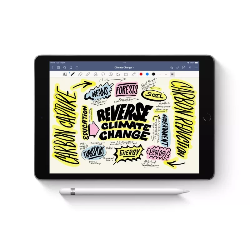 Apple Pencil 1 kartos rašiklis (MYQW3ZM/A)
