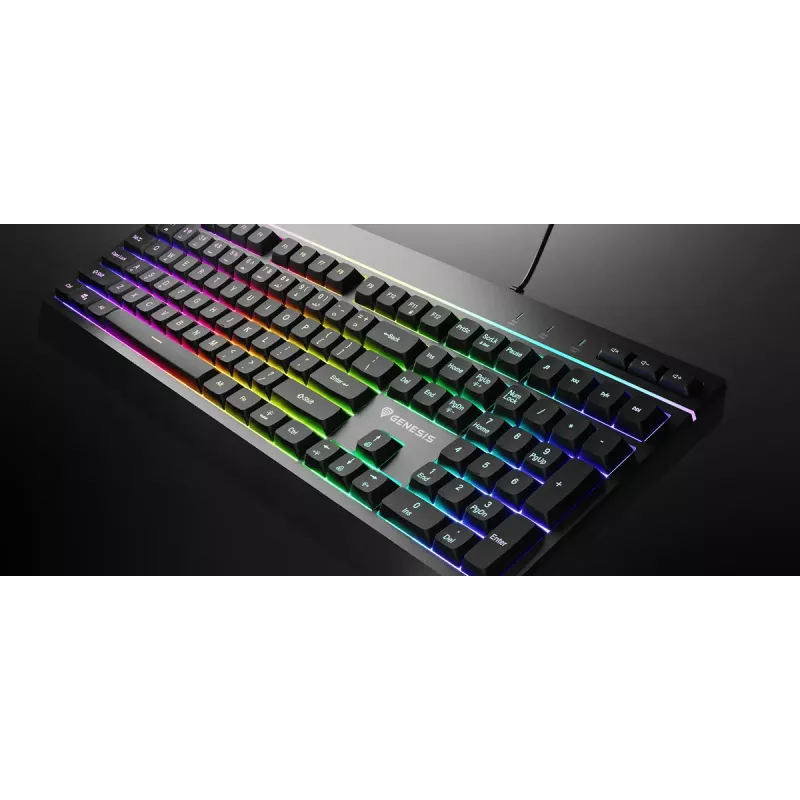 Pilno dydžio laidinė žaidimų klaviatūra Genesis Rhod 530, USB, QWERTY US, membraninė, RGB apšvietimas, 114 klavišų, 1,8 m laidas, juoda