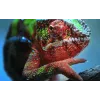 Epson EH-TW7100 standartinio fokusavimo projektorius 3000 ANSI liumenų 3LCD UHD 4K (3840x2160) 3D Baltas