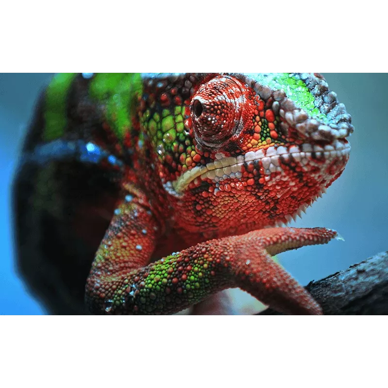 Epson EH-TW7100 standartinio fokusavimo projektorius 3000 ANSI liumenų 3LCD UHD 4K (3840x2160) 3D Baltas