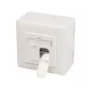 Sieninis lizdas 2 x RJ-45 LogiLink NP0124