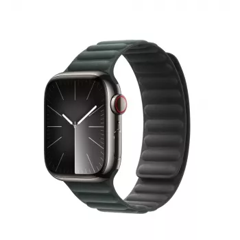 Apple 41mm Evergreen Magnetic Link M/L Žalias