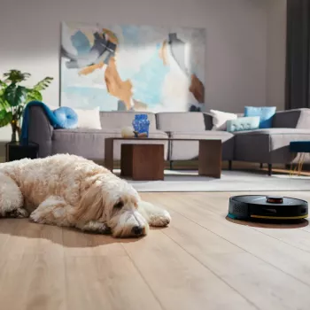 Philips 2000 serijos XU2000/10 robotas dulkių siurblys 0,38 l Juodas
