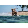 Ausinės Shokz OpenSwim Pro – atviros kaulinio laidumo belaidės ausinės, IP68 atsparios vandeniui, Bluetooth 5.4, 32 GB, 9 h grojimo, pilkos