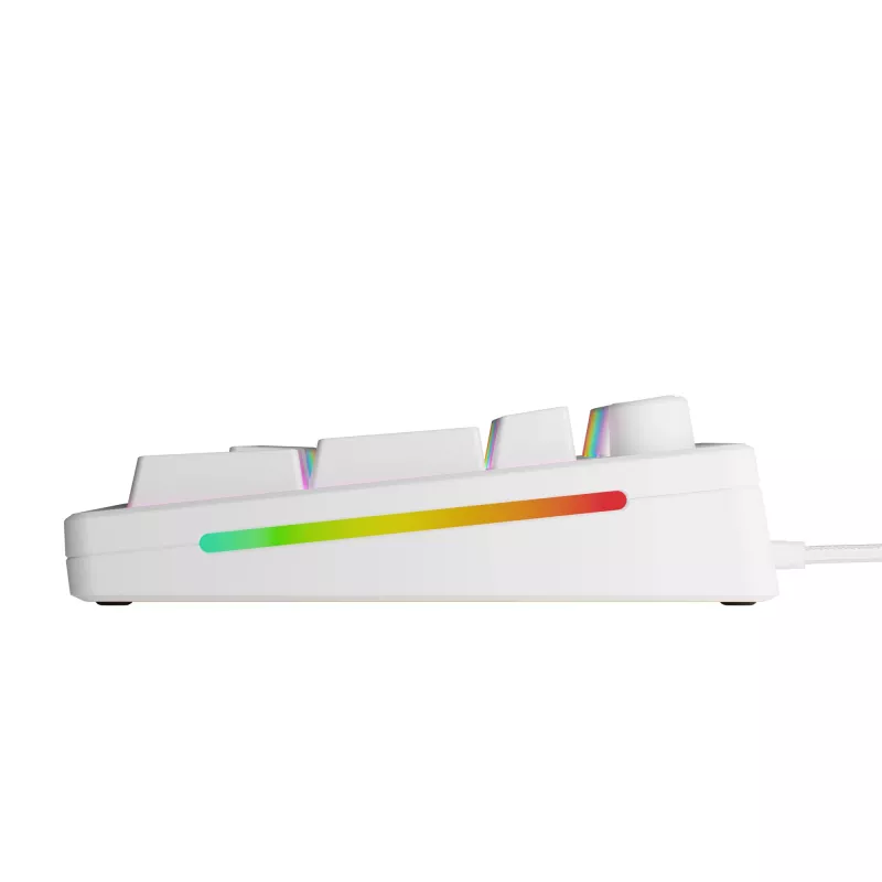 Mechaninė pilno dydžio (100%) laidinė klaviatūra GLORIOUS GMMK 3 HE — balta, USB, QWERTY, RGB
