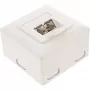 Sieninė lizdo dėžutė InLine Cat.6 2x RJ45 horizontali – paviršinis arba įleidžiamas montavimas