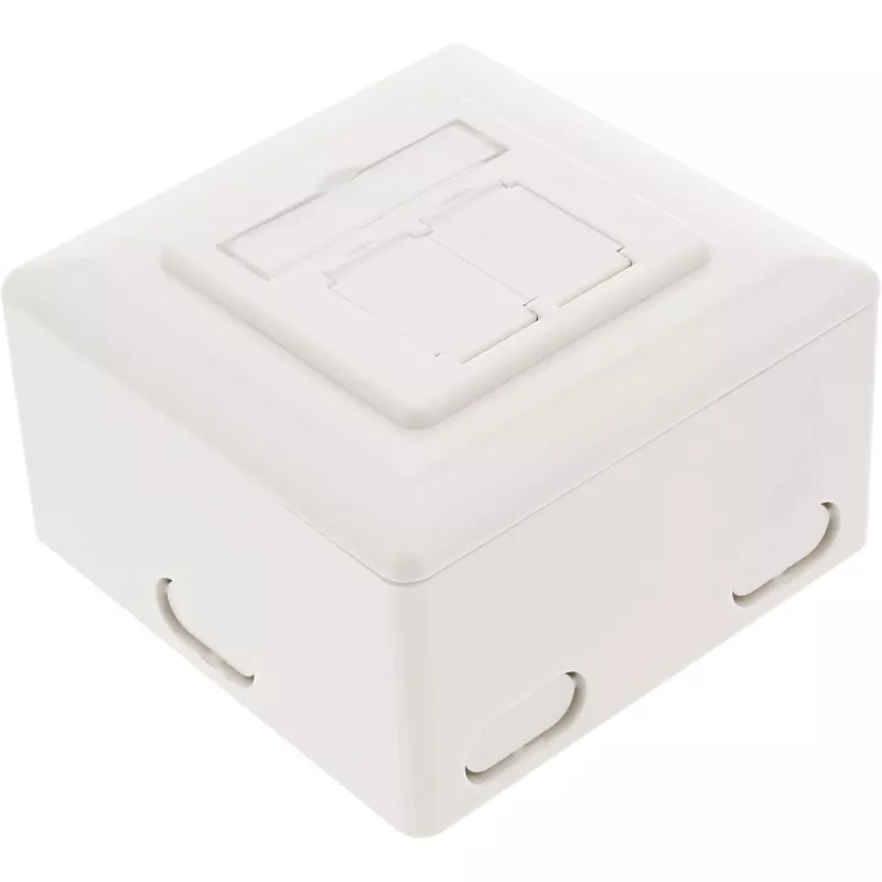 Sieninė lizdo dėžutė InLine Cat.6 2x RJ45 horizontali – paviršinis arba įleidžiamas montavimas