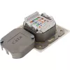 Sieninė lizdo dėžutė InLine Cat.6 2x RJ45 horizontali – paviršinis arba įleidžiamas montavimas