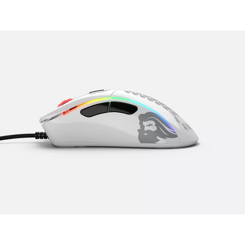 Glorious Gaming Model D- pelė, dešiniarankė, USB Type-A, optinė, 12000 DPI