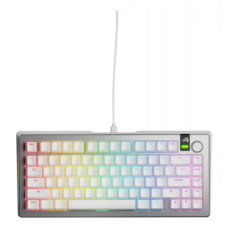 Mechaninė žaidimų klaviatūra GLORIOUS GMMK 3 PRO 75% laidinė USB QWERTY RGB sidabrinė (US)
