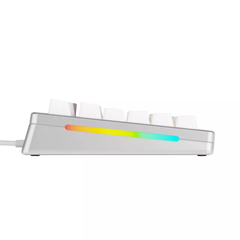 Mechaninė žaidimų klaviatūra GLORIOUS GMMK 3 PRO 75% laidinė USB QWERTY RGB sidabrinė (US)