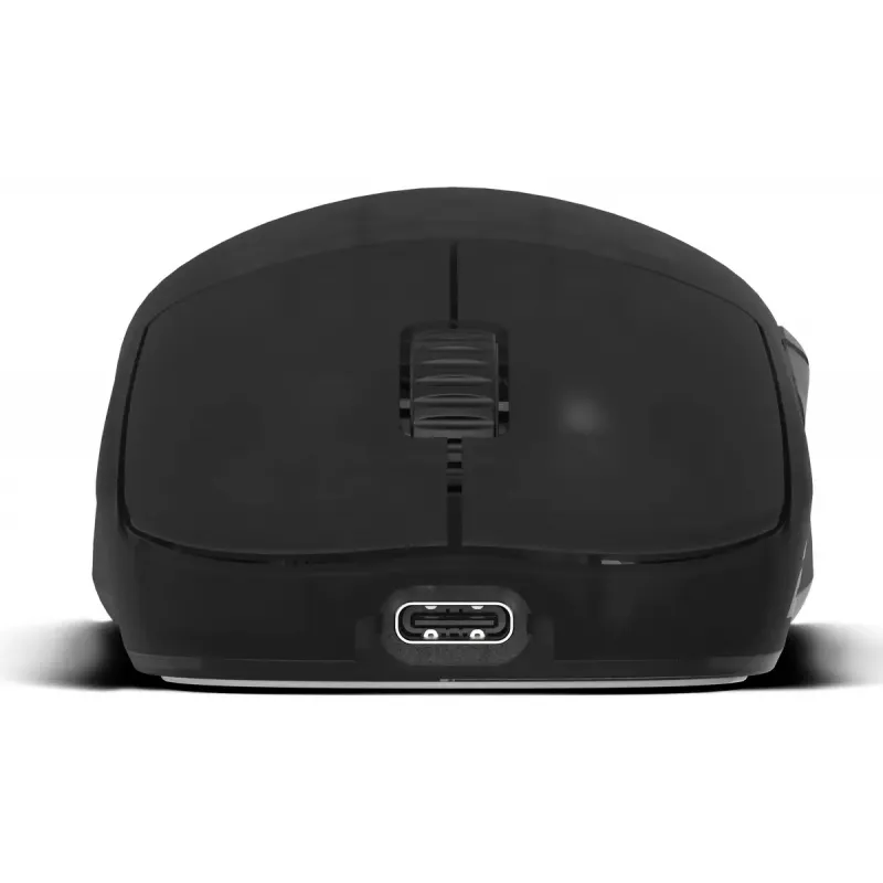 Endgame Gear OP1w 4k v2 belaidė žaidimų pelė, 4000 Hz, Dark Frost