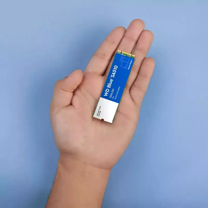 WESTERN DIGITAL SSD WD Blue SA510 250GB SATA 6Gb/s M.2 2280