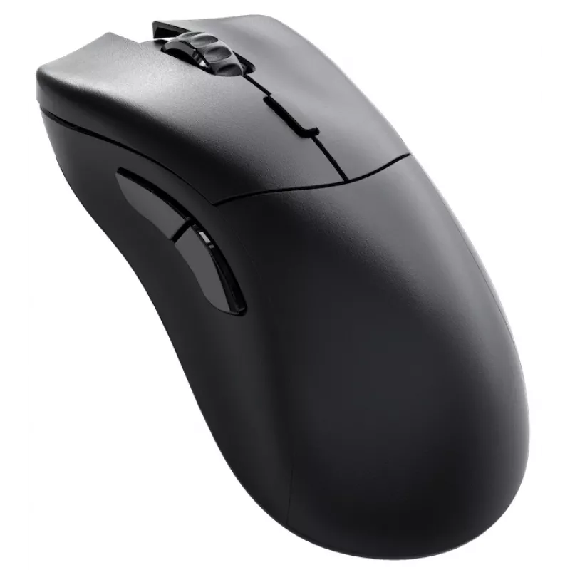 Glorious Gaming Glorious Model D 2 PRO Wireless - 1K Polling - Juoda