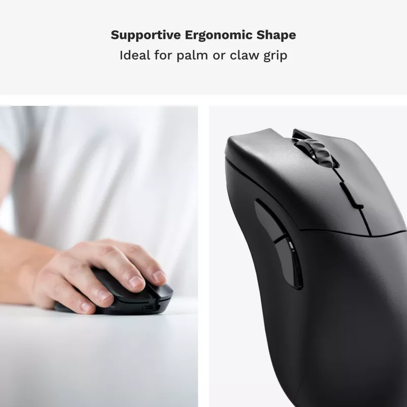 Glorious Gaming Glorious Model D 2 PRO Wireless - 1K Polling - Juoda