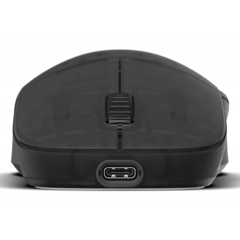 Žaidimų pelė Endgame Gear XM2w 4k v2 Dark Frost