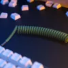 Glorious Gaming GMMK Coiled Cable Forest Rain, žalias, 1,4 m, 1 vnt.