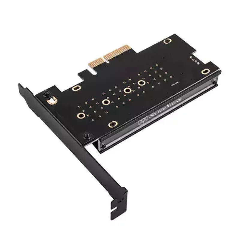Vidinis M.2 adapteris SilverStone SST-ECM24-ARGB
