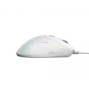 Glorious Gaming Model D 2 Wired - Matinė balta, Dešinei rankai, Optinis, USB Type-A, 26000 DPI, Baltas