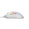 Glorious Gaming Model D 2 Wired - Matinė balta, Dešinei rankai, Optinis, USB Type-A, 26000 DPI, Baltas
