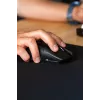 Glorious Gaming Glorious Model O 2 PRO Wireless - 4K/8K Polling - Juoda