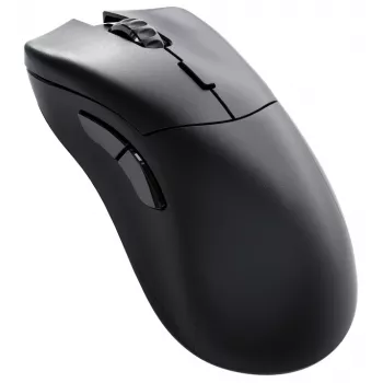 Glorious Gaming Glorious Model D 2 PRO Wireless - 4K/8K Polling - Juoda