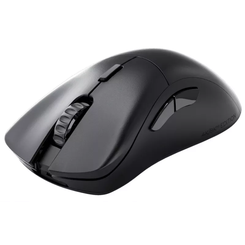 Glorious Gaming Glorious Model D 2 PRO Wireless - 4K/8K Polling - Juoda