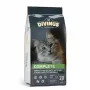 Sausas kačių ėdalas DIVINUS Cat Complete 20 kg – suaugusių kačių priežiūra, vištiena, 30% baltymų, 12% riebalų