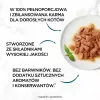 Šlapias kačių ėdalas Purina Nestlé GOURMET Perle Mini filė padaže, maišeliai 60 x 85 g, suaugusioms katėms, 80% drėgmės