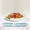 Šlapias kačių ėdalas Purina Nestlé GOURMET Perle Mini filė padaže, maišeliai 60 x 85 g, suaugusioms katėms, 80% drėgmės