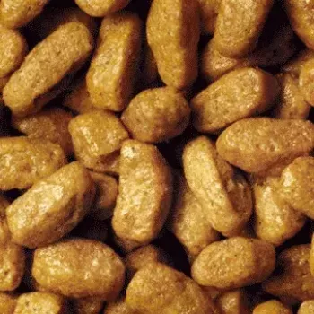 Sausas kačių ėdalas Purina Pro Plan Sterilised OPTIrenal Adult Rabbit 1.5 kg – inkstų palaikymui, 41% baltymų, 12% riebalų
