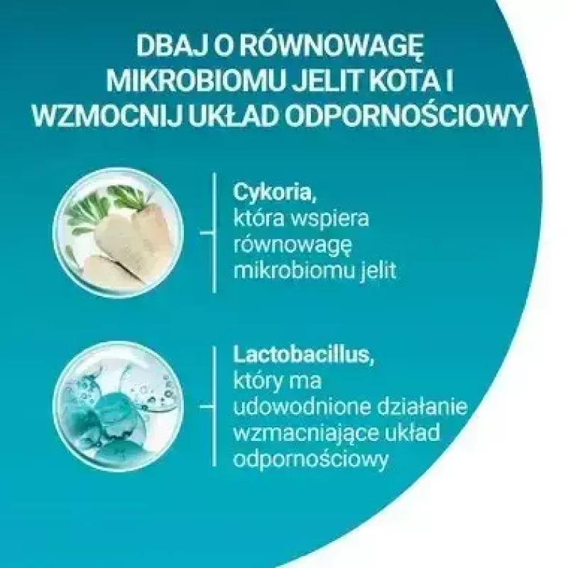 Purina One Sterilcat jautienos skonio sausas kačių maistas, 9,75 kg
